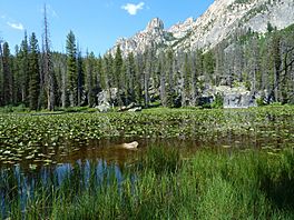 Lily Lake (15058092162).jpg