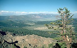 Long Valley caldera NE rim.jpg