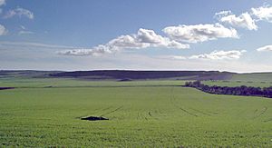 Maiden castle dorset