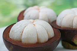 Mangosteen3