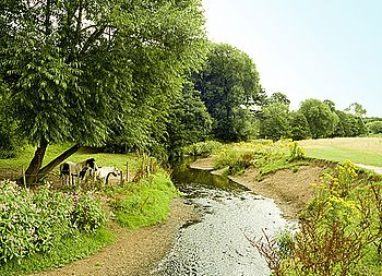 Micker Brook.JPG