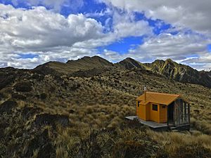 Mt Brown Hut