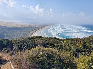 Ninety Mile Beach looking south.jpg