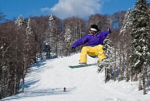 Platak snowboarding 0110 2