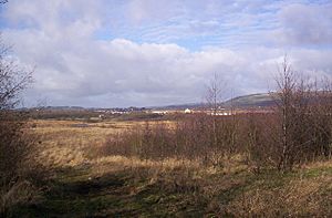 Red Moss, Horwich - geograph.org.uk - 109497.jpg