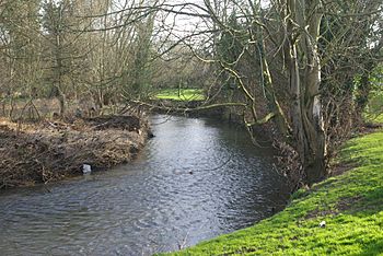 River Arrow, Alcester - geograph.org.uk - 670082.jpg