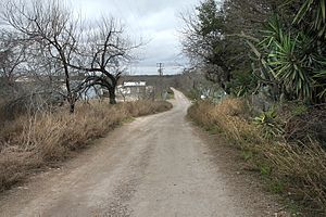 SALINENO, Tx -01 (16638557696).jpg