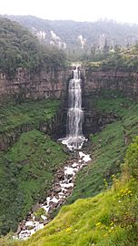 Salto de Tequendama 1