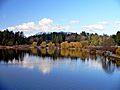 Stanley Park Lagoon