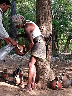 Toddy tapper (India)