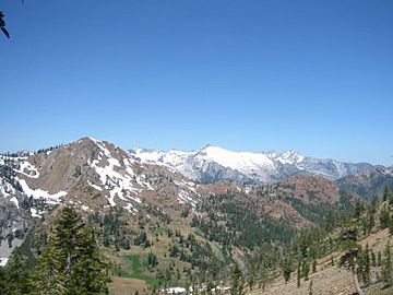 Trinity Alps near Granite Lake.jpg