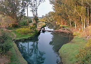 View from Arana Gulch Bridge