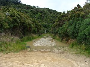 Wainuiomata Tunnel 04