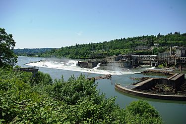 Willamette Falls