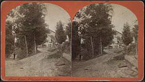 Wine Celler, Pleasant Valley, N.Y.