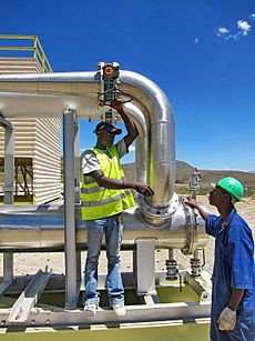 Worker in Olkaria Kenya