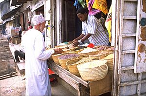 Zanzibar Stone Town01