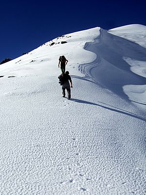 Ascending Mt Feathertop Stevage