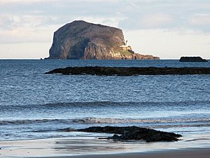 Bass Rock 4