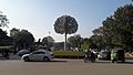 Bird Houses on Mall Road