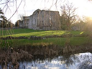 Bishop's Waltham Palace and moat