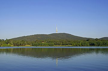 Black Mountain and Black Mountain Tower.jpg