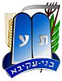 Bnei akiva logo