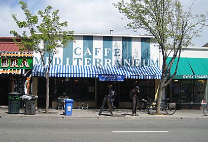 Caffe Mediterraneum