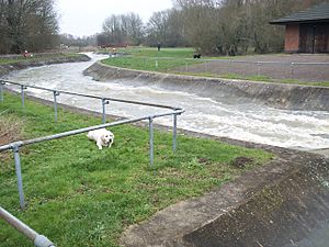 CanoeSlalomPrioryCountryPark