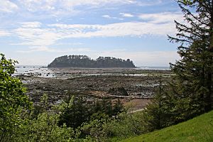 Cape Alava Ozette Island