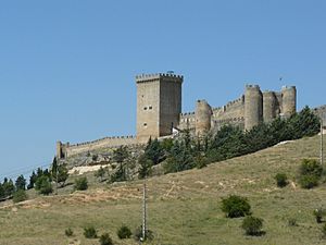 CastilloDePeñarandaDeDuero20110625111805P1120520.jpg