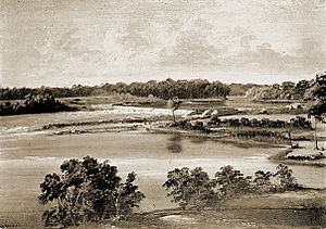 CedarsLockandDam1856