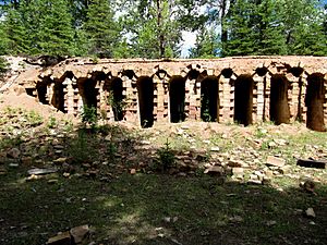 Coke ovens at Lille, Alberta