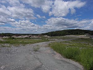 Concord Resort Hotel Demolished