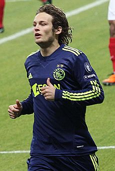 Daley Blind 6013