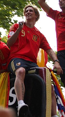 Fernando Torres Spain