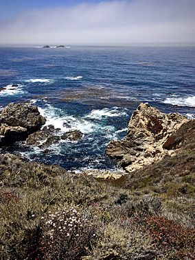 Garrapata Coast.jpg