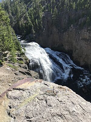 Gibbon Falls, Yellowstone National Park.jpg