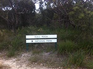 Gullrocksign