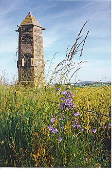 Harlaw Monument