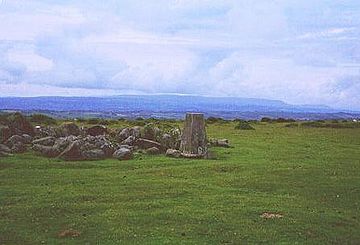 Hergest Ridge top.jpg