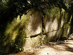 Kaimanawa wall