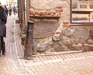 Kakbrinken Prastgatan runestone March 2007