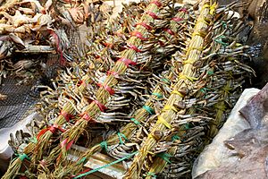 Korea-Daejeon-Live crab bundles at a market-01