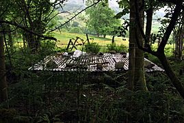 Llanfachreth site of Babtist Well