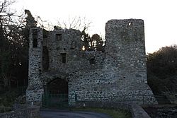 Mahee Castle, January 2011 (01).JPG