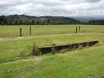 Mangaroa railway station 01.JPG