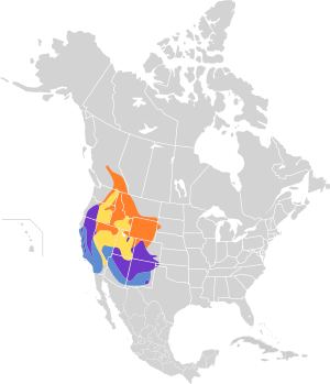 Melanerpes lewis map.svg