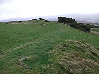 Moel y Gaer, Rhosesmor