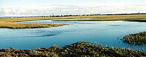 NWS seal beach wildlife refuge.jpg